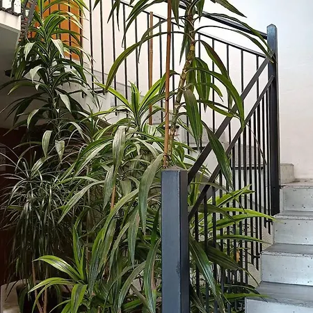 In - Cozy In With Private Facilities Guest house Nagold